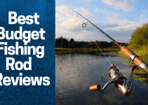 Best Budget Fishing Rod