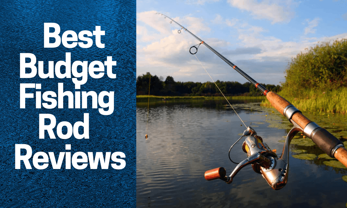 Best Budget Fishing Rod