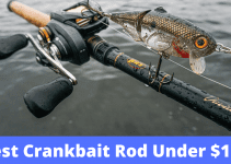 Best Crankbait Rod Under $100