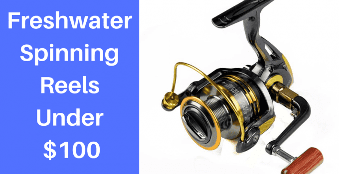 Freshwater Spinning Reels Under $100