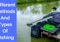 Different Types Of Fishing