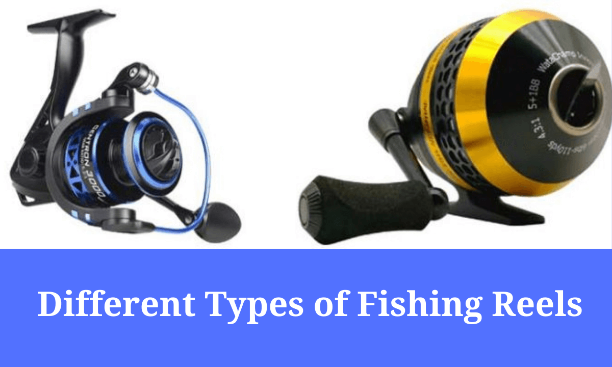Different Types of Fishing Reels