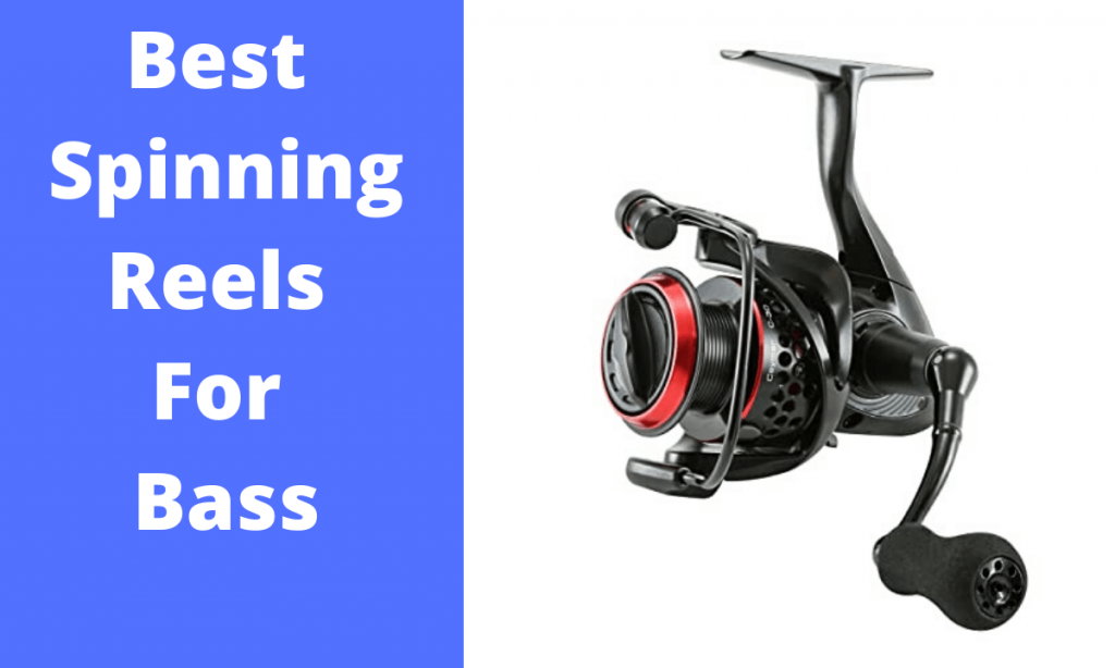 Best Spinning Reels for Bass Fishing