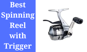 Spinning Reel with Trigger